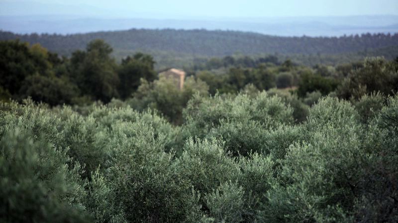 CANINO, Agricultural research in Europe