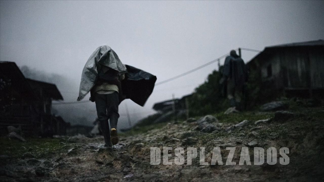 DESPLAZADOS